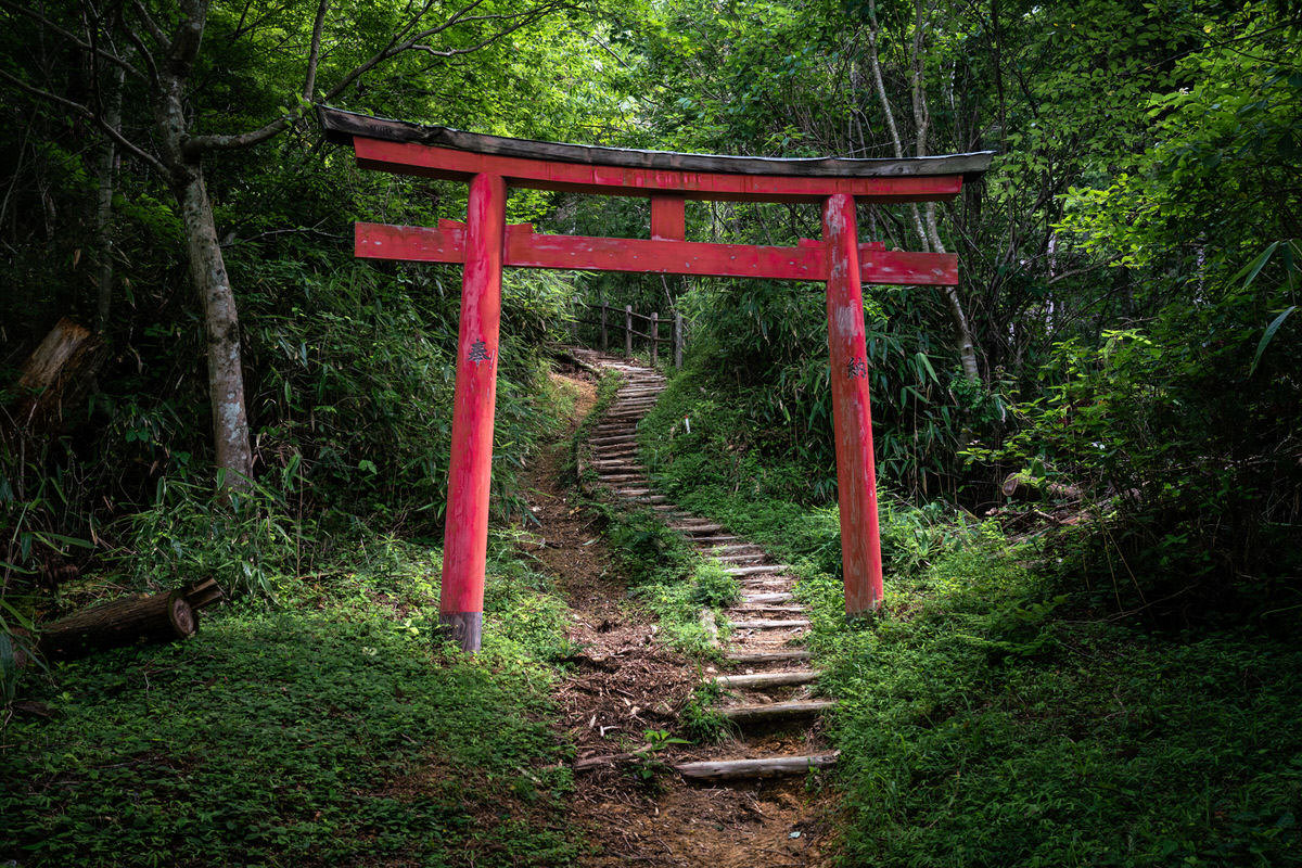 Japan (27)