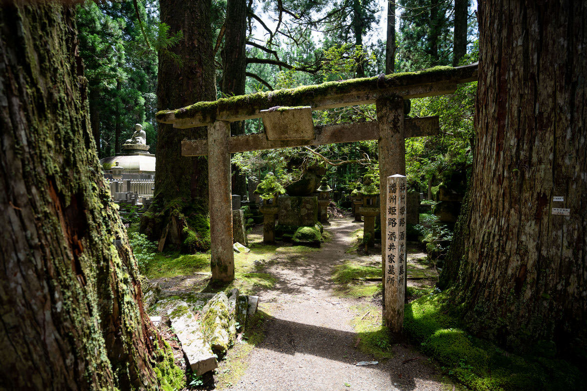 Japan (36)